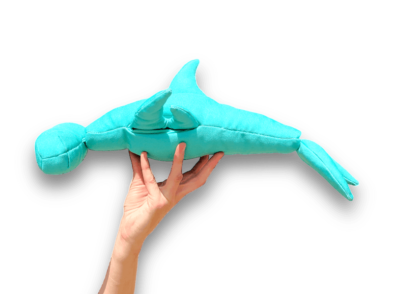 Hammerhead Shark Cyan - Image 8
